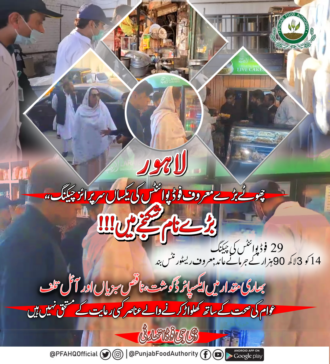 Punjab Food Authority — Diamond Grid Poster